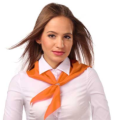 Шейные аксессуары Шейные аксессуары